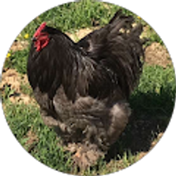 Profile photo of Cami Updike