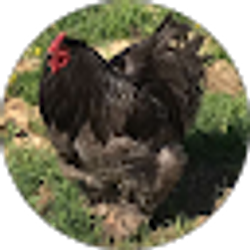 Profile photo of Cami Updike