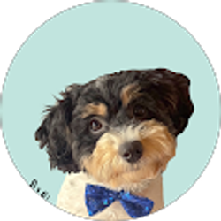 Profile photo of Lizette Campuzano