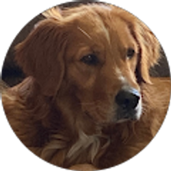 Profile photo of Ruthanne Bohrer-Agosa