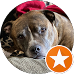 Profile photo of Scott Smith