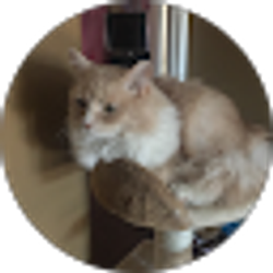 Profile photo of Philip W