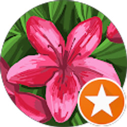 Profile photo of Chemeka