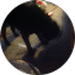 Profile photo of Slime Rancher Clay