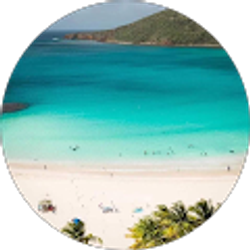 Profile photo of Sally M