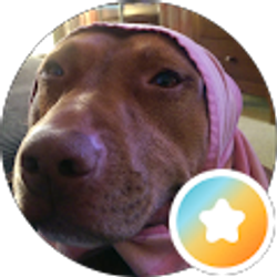 Profile photo of Morgan Hodge