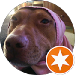 Profile photo of Morgan Hodge