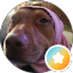 Profile photo of Morgan Hodge