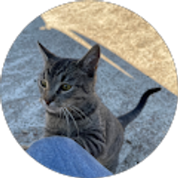 Profile photo of Ira Richardson