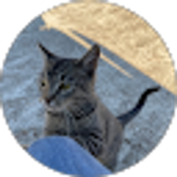 Profile photo of Ira Richardson