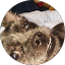 Profile photo of Buhday Dooshay