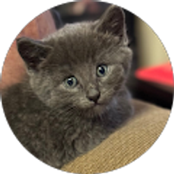 Profile photo of Tiersa Morning