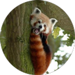 Profile photo of Angie Brown