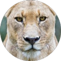 Profile photo of In The Calm