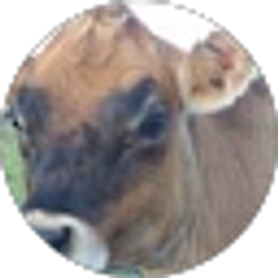 Profile photo of Julie Parkman