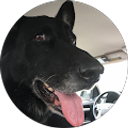 Profile photo of Mitchel Smith