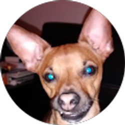 Profile photo of John Stager