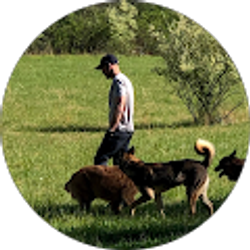 Profile photo of Mike Anthony