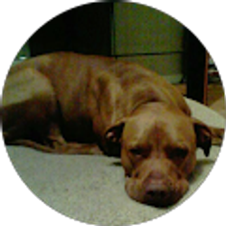 Profile photo of Tyler Markley