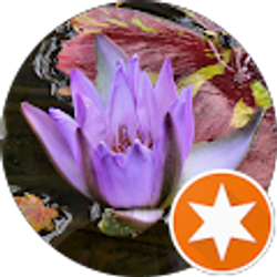 Profile photo of Breanna Crisafulli