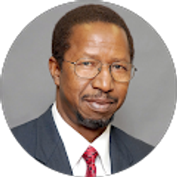 Profile photo of Diola Bagayoko