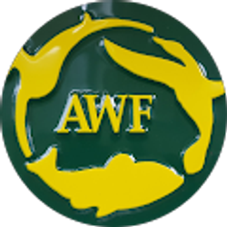 Profile photo of Matt Moore