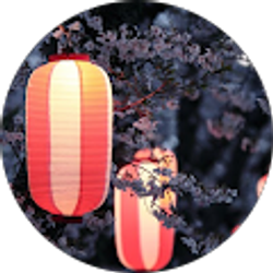 Profile photo of Thida Sak