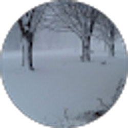 Profile photo of Patty Childress