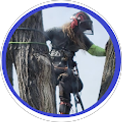 Profile photo of Logan Miehle