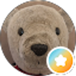 Profile photo of Misty The Bear