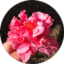 Profile photo of Grace Novak