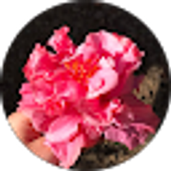 Profile photo of Grace Novak