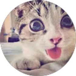 Profile photo of Ariba H.