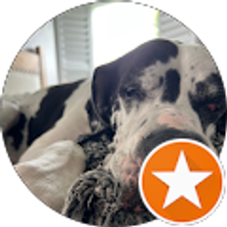 Profile photo of Mike Dannelly