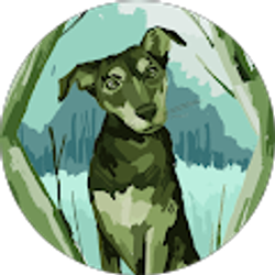 Profile photo of Robin Kemmler