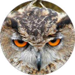 Profile photo of Carl Longhorn