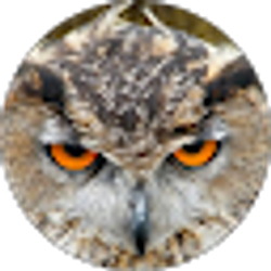 Profile photo of Carl Longhorn