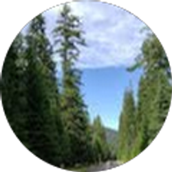 Profile photo of Ramses Vidals