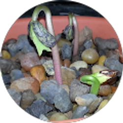 Profile photo of Christine Glover