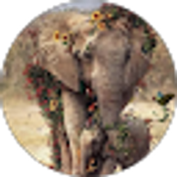Profile photo of Desiree Roberts