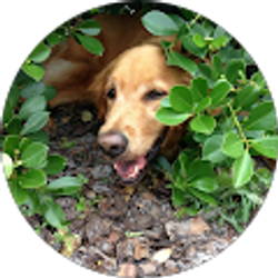 Profile photo of Laurie Tinnell