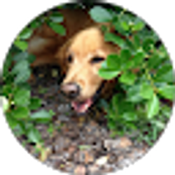 Profile photo of Laurie Tinnell