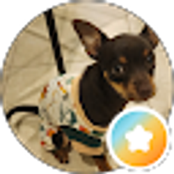 Profile photo of Kevin