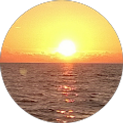 Profile photo of PM Sweeney