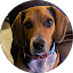 Profile photo of Corinne Mccumber