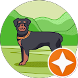 Profile photo of John “Pita” Paoli