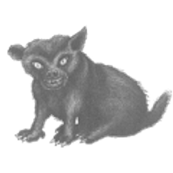 Profile photo of Rez Zircon