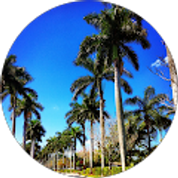 Profile photo of Jordan Cohen