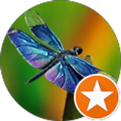 Profile photo of Vita Stears