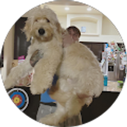 Profile photo of Tonia MacPhail